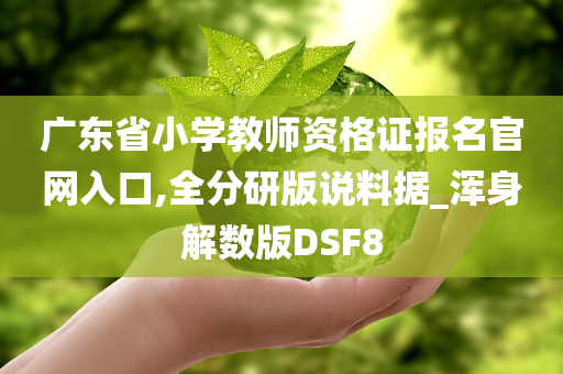 广东省小学教师资格证报名官网入口,全分研版说料据_浑身解数版DSF8