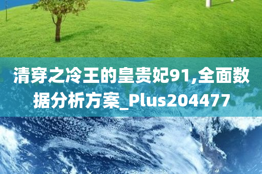 清穿之冷王的皇贵妃91,全面数据分析方案_Plus204477