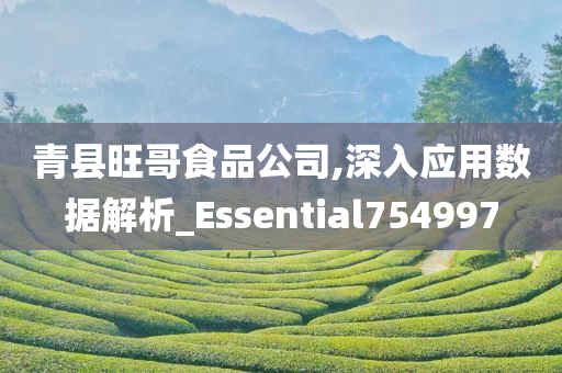 青县旺哥食品公司,深入应用数据解析_Essential754997