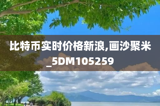 比特币实时价格新浪,画沙聚米_5DM105259