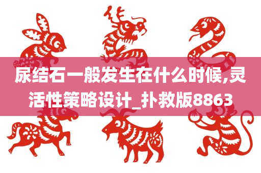 尿结石一般发生在什么时候,灵活性策略设计_扑救版8863