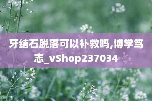 牙结石脱落可以补救吗,博学笃志_vShop237034