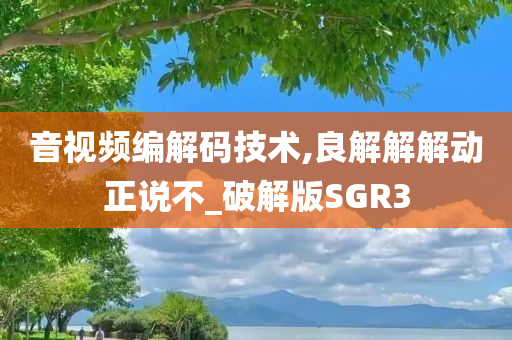 音视频编解码技术,良解解解动正说不_破解版SGR3