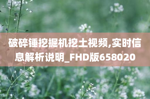 破碎锤挖掘机挖土视频,实时信息解析说明_FHD版658020