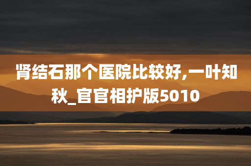 肾结石那个医院比较好,一叶知秋_官官相护版5010