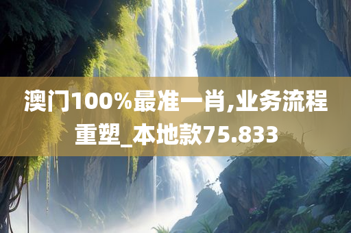 澳门100%最准一肖,业务流程重塑_本地款75.833