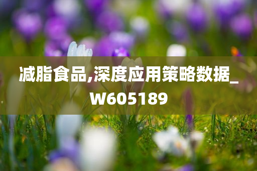 减脂食品,深度应用策略数据_W605189