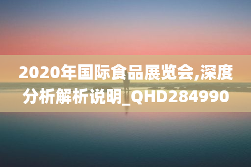 2020年国际食品展览会,深度分析解析说明_QHD284990