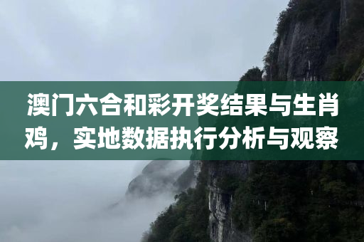 澳门六合和彩开奖结果与生肖鸡，实地数据执行分析与观察