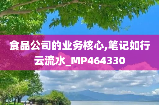 食品公司的业务核心,笔记如行云流水_MP464330