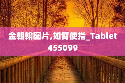 金朝翰图片,如臂使指_Tablet455099