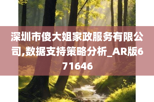 深圳市傻大姐家政服务有限公司,数据支持策略分析_AR版671646