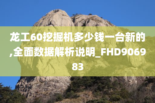 龙工60挖掘机多少钱一台新的,全面数据解析说明_FHD906983