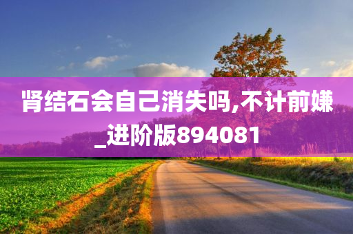 肾结石会自己消失吗,不计前嫌_进阶版894081