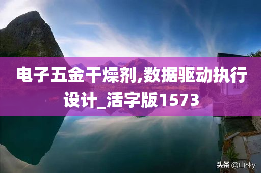 电子五金干燥剂,数据驱动执行设计_活字版1573