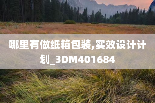 哪里有做纸箱包装,实效设计计划_3DM401684