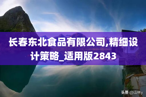 长春东北食品有限公司,精细设计策略_适用版2843