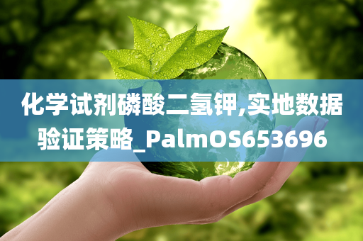 化学试剂磷酸二氢钾,实地数据验证策略_PalmOS653696