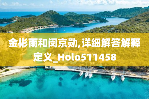 金彬雨和闵京勋,详细解答解释定义_Holo511458