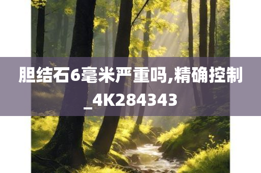 胆结石6毫米严重吗,精确控制_4K284343