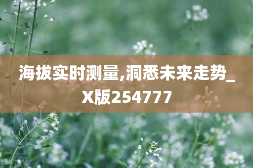 海拔实时测量,洞悉未来走势_X版254777