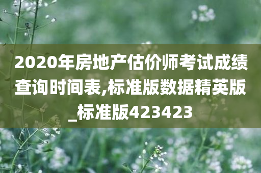 2020年房地产估价师考试成绩查询时间表,标准版数据精英版_标准版423423