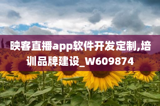 映客直播app软件开发定制,培训品牌建设_W609874