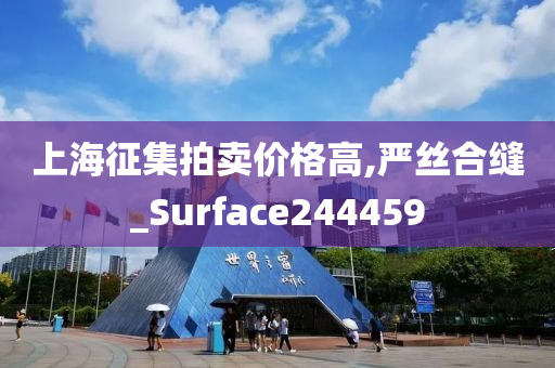 上海征集拍卖价格高,严丝合缝_Surface244459