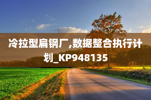 冷拉型扁钢厂,数据整合执行计划_KP948135