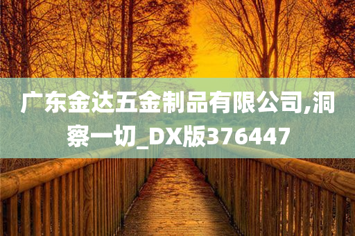 广东金达五金制品有限公司,洞察一切_DX版376447