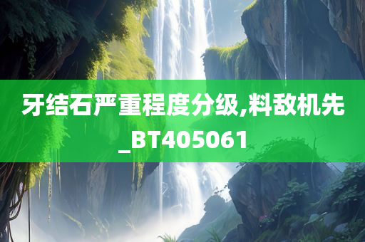 牙结石严重程度分级,料敌机先_BT405061