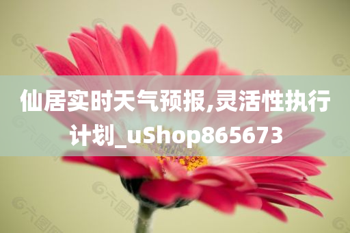 仙居实时天气预报,灵活性执行计划_uShop865673