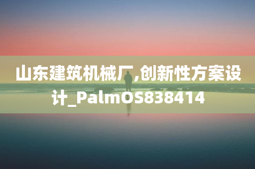 山东建筑机械厂,创新性方案设计_PalmOS838414