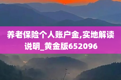 养老保险个人账户金,实地解读说明_黄金版652096