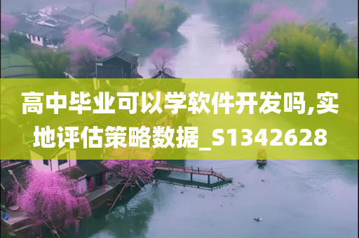 高中毕业可以学软件开发吗,实地评估策略数据_S1342628