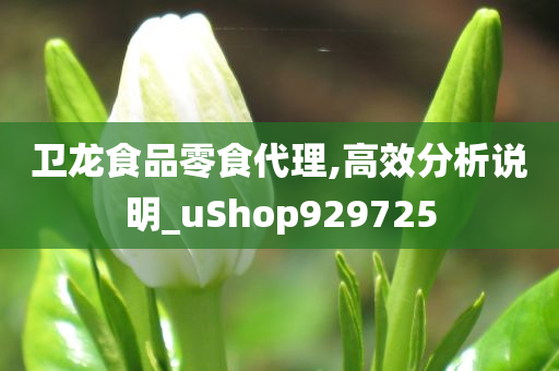 卫龙食品零食代理,高效分析说明_uShop929725