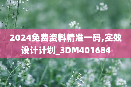 2024免费资料精准一码,实效设计计划_3DM401684