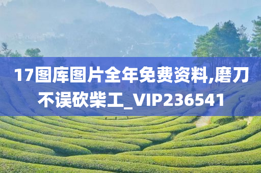 17图库图片全年免费资料,磨刀不误砍柴工_VIP236541