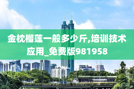 金枕榴莲一般多少斤,培训技术应用_免费版981958