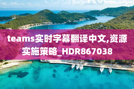 teams实时字幕翻译中文,资源实施策略_HDR867038