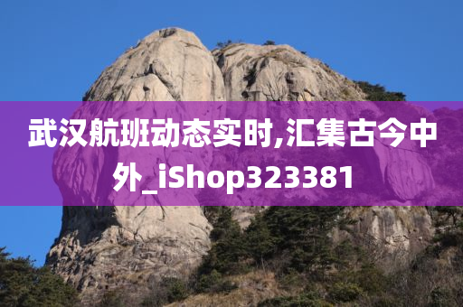 武汉航班动态实时,汇集古今中外_iShop323381