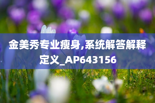 金美秀专业瘦身,系统解答解释定义_AP643156