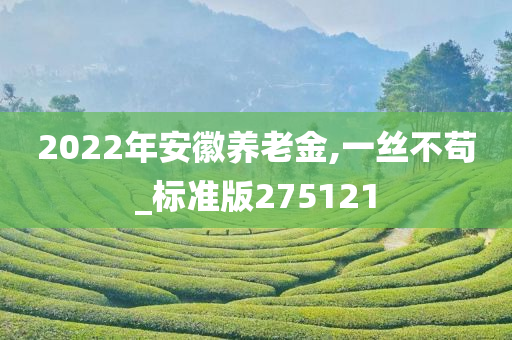 2022年安徽养老金,一丝不苟_标准版275121