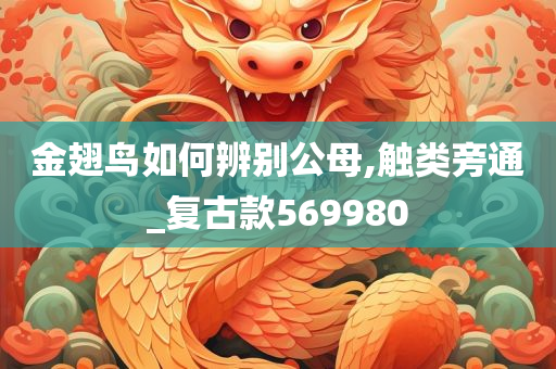 金翅鸟如何辨别公母,触类旁通_复古款569980