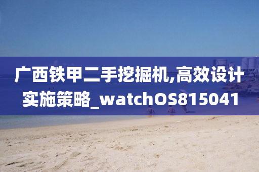 广西铁甲二手挖掘机,高效设计实施策略_watchOS815041