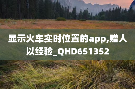 显示火车实时位置的app,赠人以经验_QHD651352