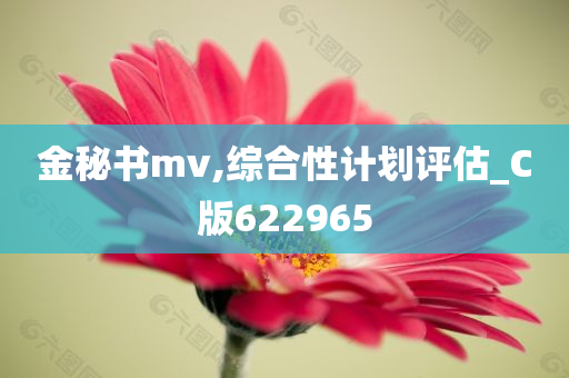 金秘书mv,综合性计划评估_C版622965