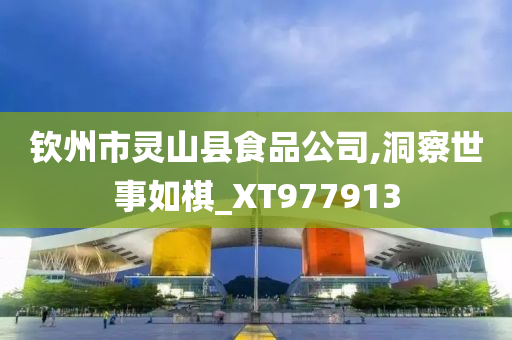 钦州市灵山县食品公司,洞察世事如棋_XT977913