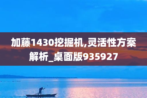 加藤1430挖掘机,灵活性方案解析_桌面版935927