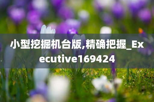 小型挖掘机台版,精确把握_Executive169424